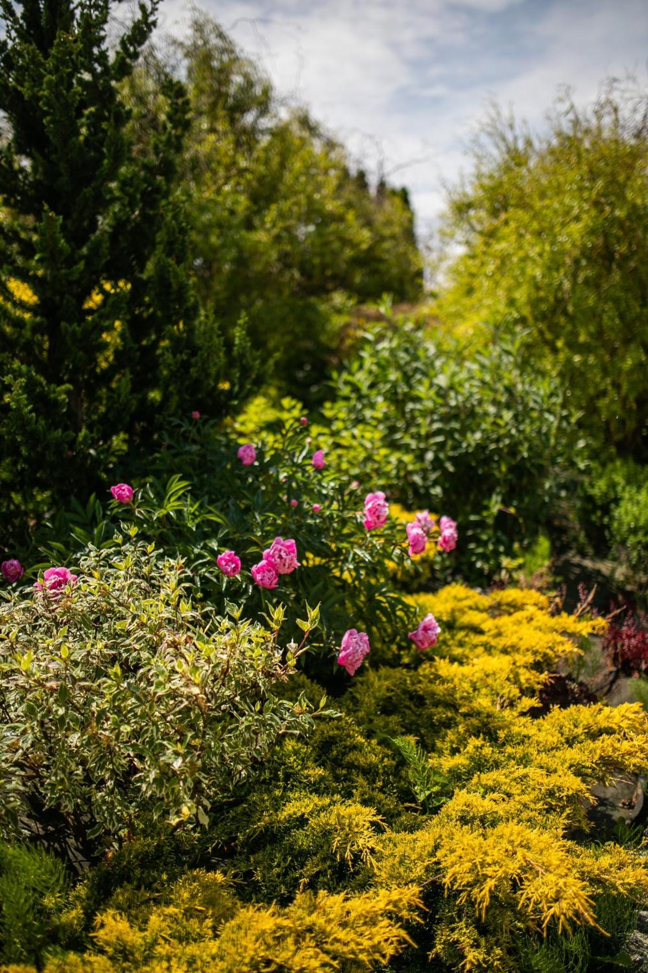 Bed and Breakfast Nordowi Dwor Celbowo Exteriér fotografie